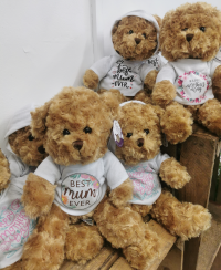 Mother's day bears - Mother's day bears wearing a tshirt or a hoody. Comes in 4 designs