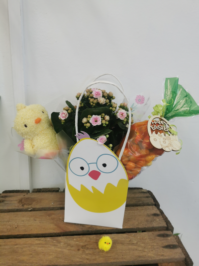 Easter treat bundle - A flowering plant with a small soft chick and a chocolate egg carrot cone. All presented and gift wrapped in a gift bag