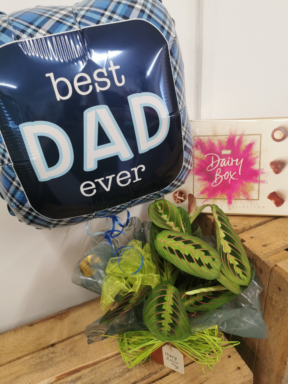Father's day small plant bundle