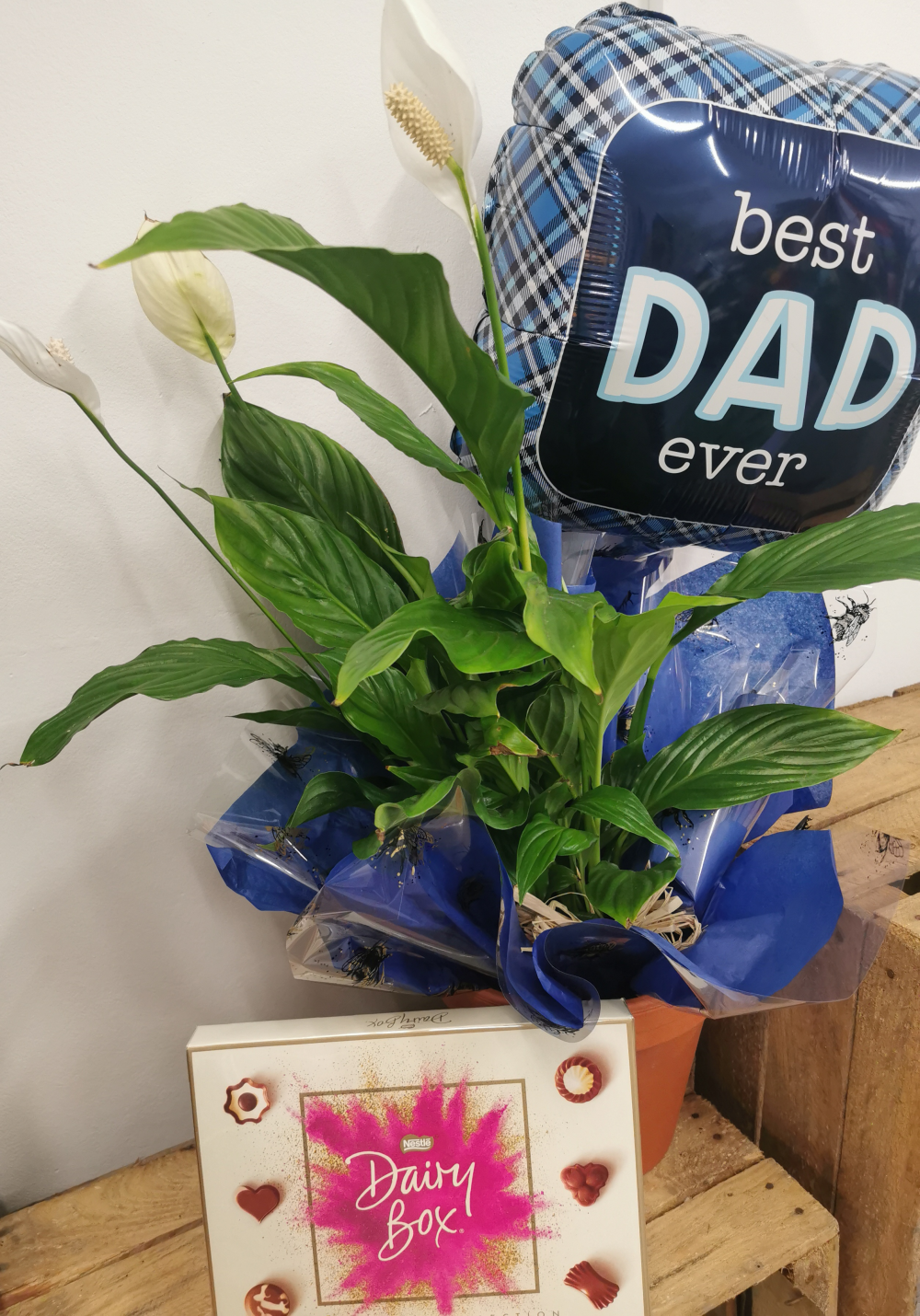 Father's day large plant bundle