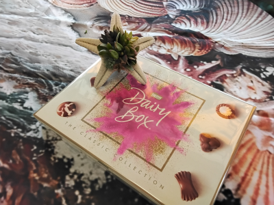 Starfish succulent - A unique gift of a starfish with succulent plants attached to it, alongside a box of chocolates