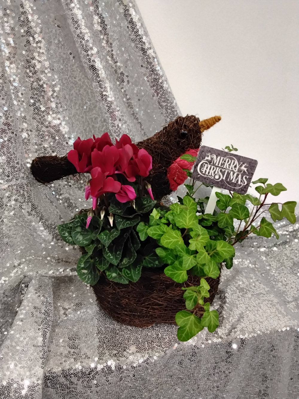 Festive Robin planter