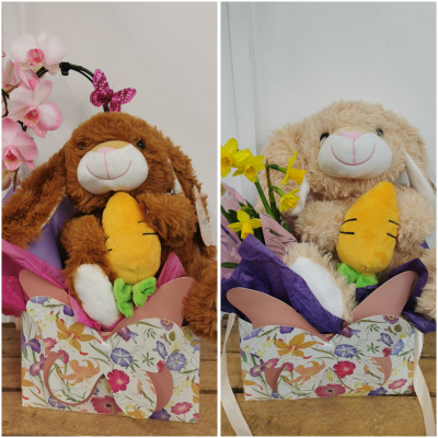 Easter bunny bundle - An Easter treat with a soft bunny and either an orchid or spring plant
