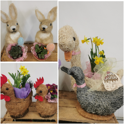 Spring planter - A bunny, chick or swan planter with a flowering spring or succulent plant