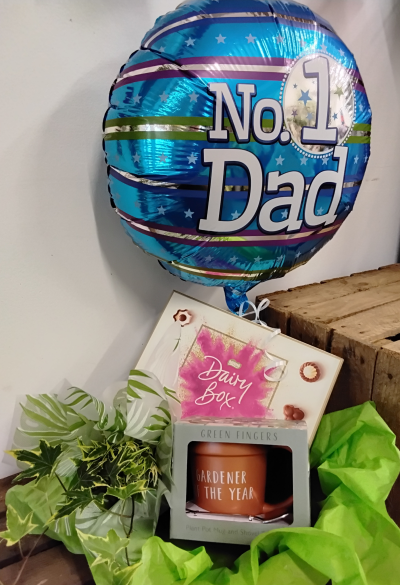 Father day bundle - A fathers day bundle including a balloon, chocolates, a "Gardener of the year" mug set with spade spoon and completed with a plant.